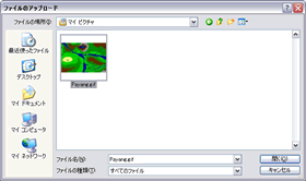 ファイルのアップロード