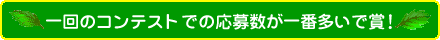 1回のコンテストでの応募数が一番多いで賞！