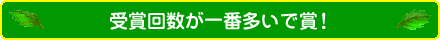 受賞回数が一番多いで賞！