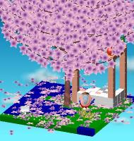 またたくももざくら