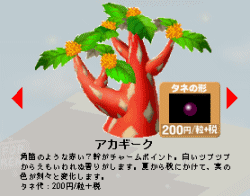 木を選びましょう