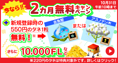 2カ月無料キャンペーン